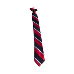 Boys Clip On Tie